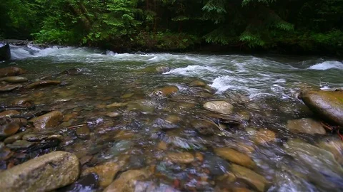 Mountain Creek Video stock 80020077