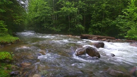 Mountain Creek Video stock 80020080