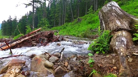 Mountain Creek Video stock 80020095