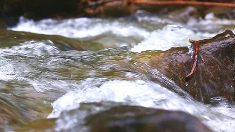 Mountain Creek Video stock 80020099