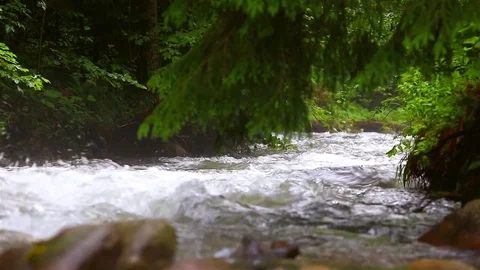 Mountain Creek Video stock 80020100