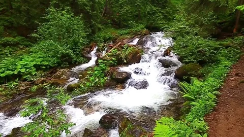 Mountain Creek Video stock 80020101