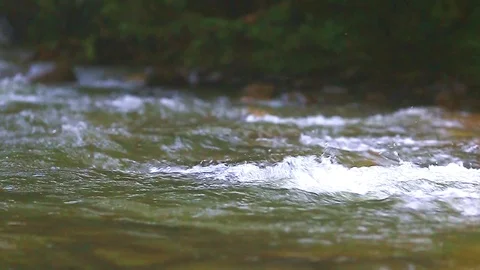 Mountain Creek Video stock 80020332