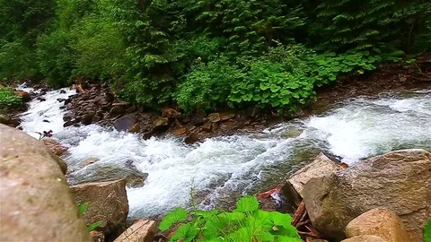 Mountain Creek Video stock 80020333