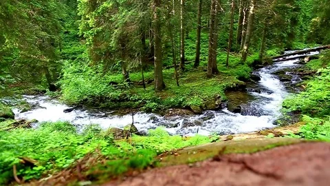 Mountain Creek Video stock 80020335