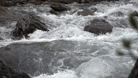 Mountain creek Stock Footage 81099706