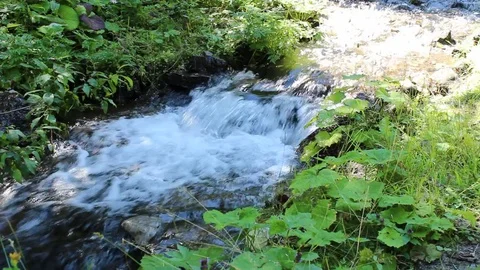 Mountain Creek 库存影片 81232555