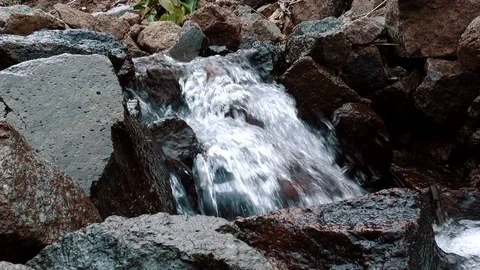 Mountain Creek  Stock Footage 84006303