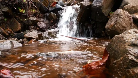 Mountain Creek  Stock Footage 84006321