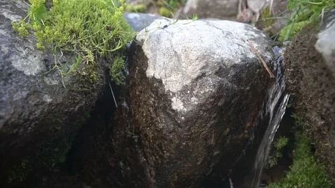 Mountain Creek Видео 94585252