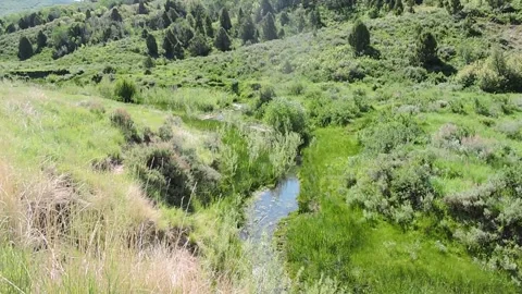 Mountain Creek Stock Footage 150987217