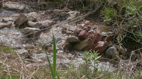 Mountain creek Stock Footage 167555081