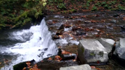 Mountain Creek. Stock-Footage 240713166