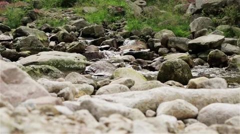 Mountain Creek in the Forest ver.9 Stock Footage 44211653