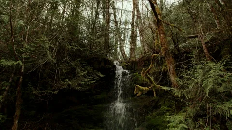 Mountain Creek FS Stock Footage 238869655