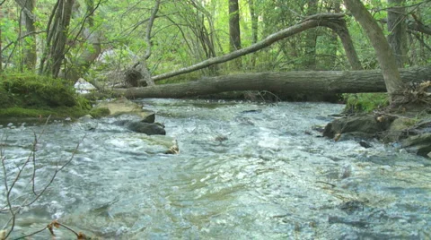 Mountain Creek Loop - HD 1080 Stock Footage 4886313