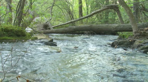 Mountain Creek Loop - HD 720 Stock Footage 4713680