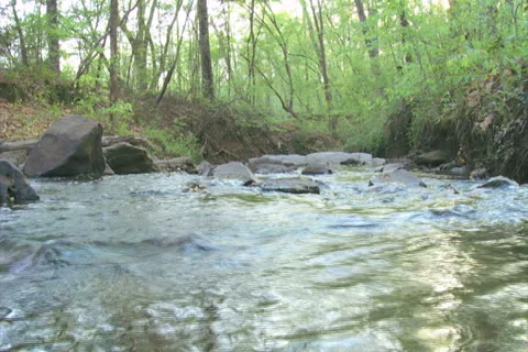 Mountain Creek Low Angle Loop - NTSC Stock Footage 4886207