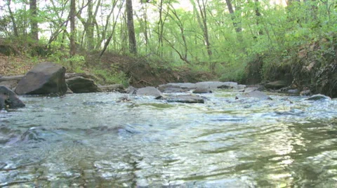 Mountain Creek Low Angle Loop - HD 720 Stock Footage 4886506