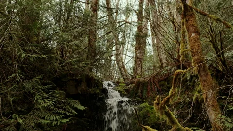 Mountain Creek MS Stock Footage 238872068