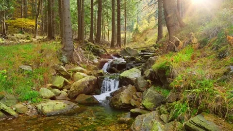 Mountain creek or river in a forest, nature landscape stock video 4k. Stock Footage 249457422