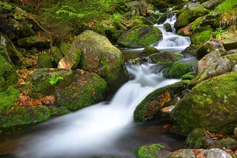 Mountain creek  Stock Photos