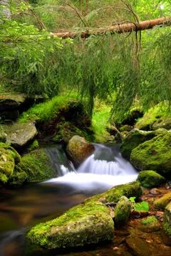 Mountain creek Stock Photos