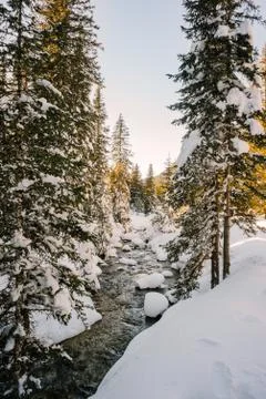 Mountain creek Stock Photos