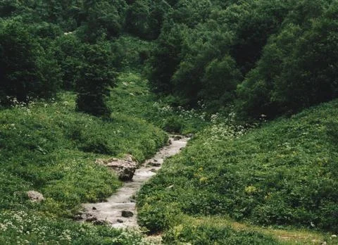 Mountain creek Stock Photos