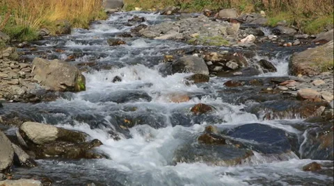 Mountain creek rapids Stock Footage 41829129