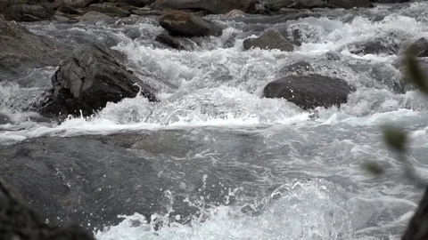 Mountain  Creek  Slowmotion Stock Footage 81100475
