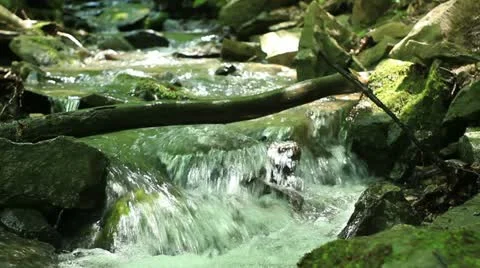 Mountain creek (small cascade waterfall) _1 Stock Footage 11152508