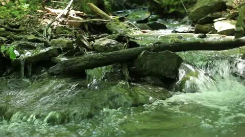 Mountain creek (small cascade waterfall) _2 Video stock 11152667