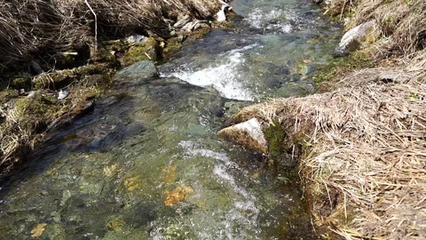 Mountain creek in spring time Stockbeeldmateriaal 111513132