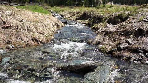 Mountain creek in spring time Stock-Footage 111513166