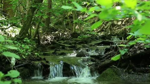 Mountain creek total _1 Stock Footage 11157046