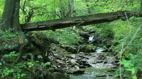 Mountain creek (total) Stock Footage 11159296