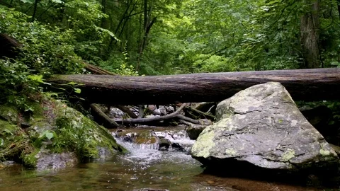 Mountain Creek View Stock Footage 96269535