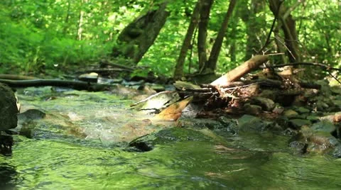 Mountain creek (water flow) Stock Footage 11152348