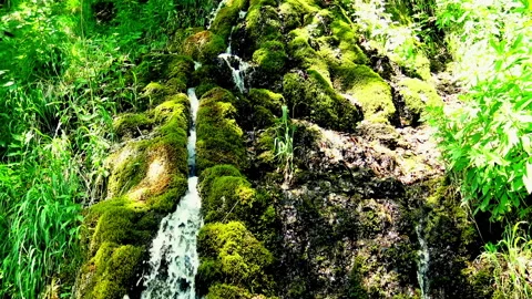 Mountain creek waters falling down the rock Video stock 145284605