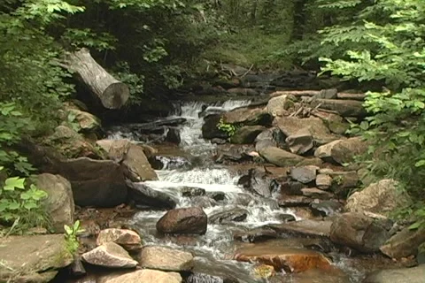 Mountain Creek Zoom Out 02 Stock Footage