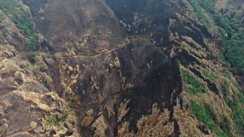 Mountain Damaged by the fire Stock Footage 248164937
