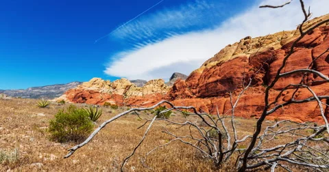 Mountain with Dead Tree Time Lapse Stock Footage 64815694