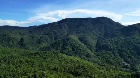Mountain with Dense Forest – Wide Landscape View Stock Footage 337817525