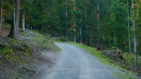 Mountain Dirt Trail Panning Left to Right Through Green Forest Stock Footage 320207471