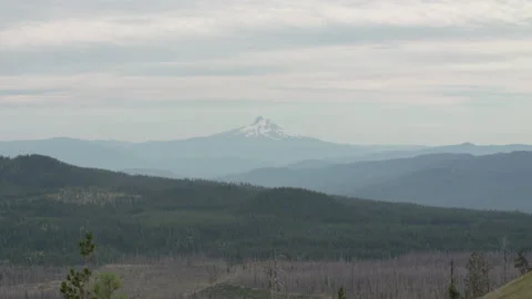 Mountain in the distance with forest Stock Footage 165267773