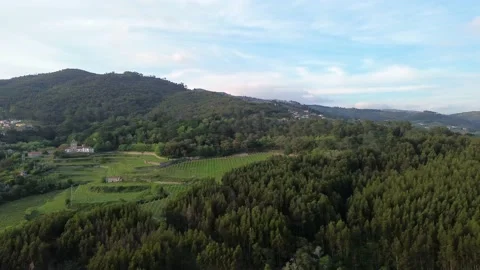 Mountain Douro Valley Stock Footage 239554688