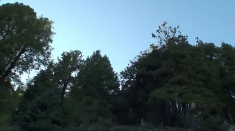 Mountain Drive 1 Stock Footage 11128300