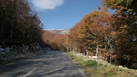 Mountain Drive. POV from the drivers perspective through the autumn forest Stock Footage 98419930