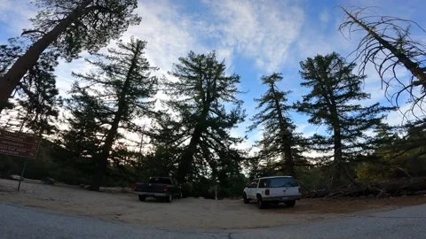 Mountain drive POV with Trees side view Video stock 151360778